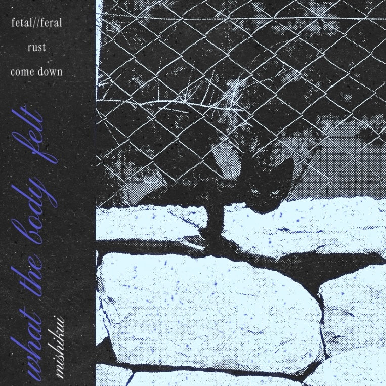 Mishikui - What The Body Felt
