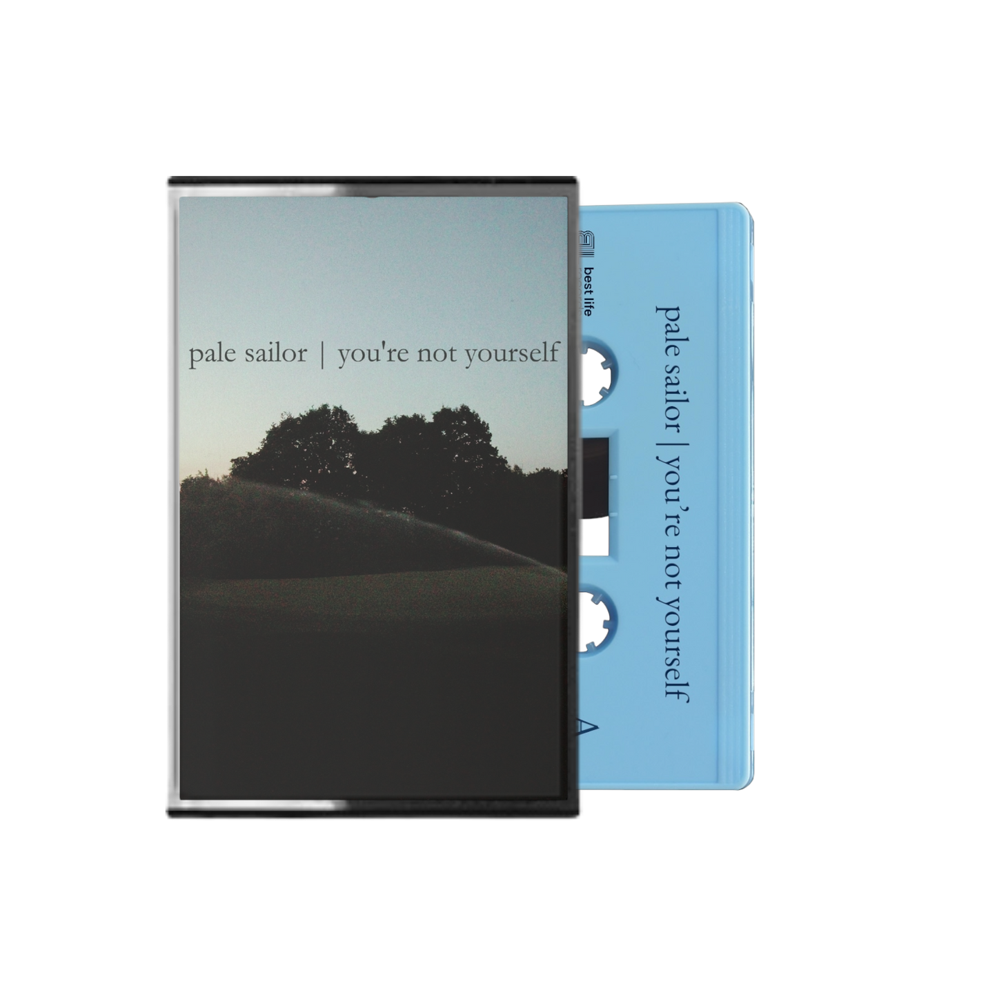 pale sailor - you’re not yourself