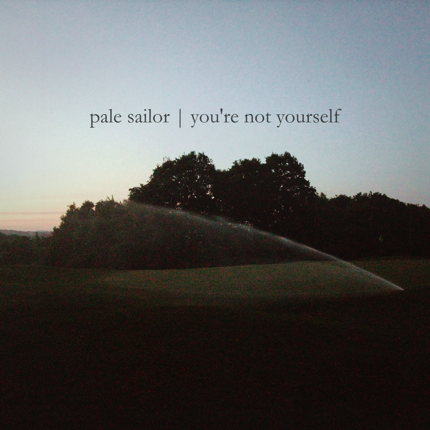 pale sailor - you’re not yourself