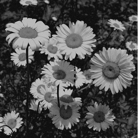 Karloff - Karloff LP