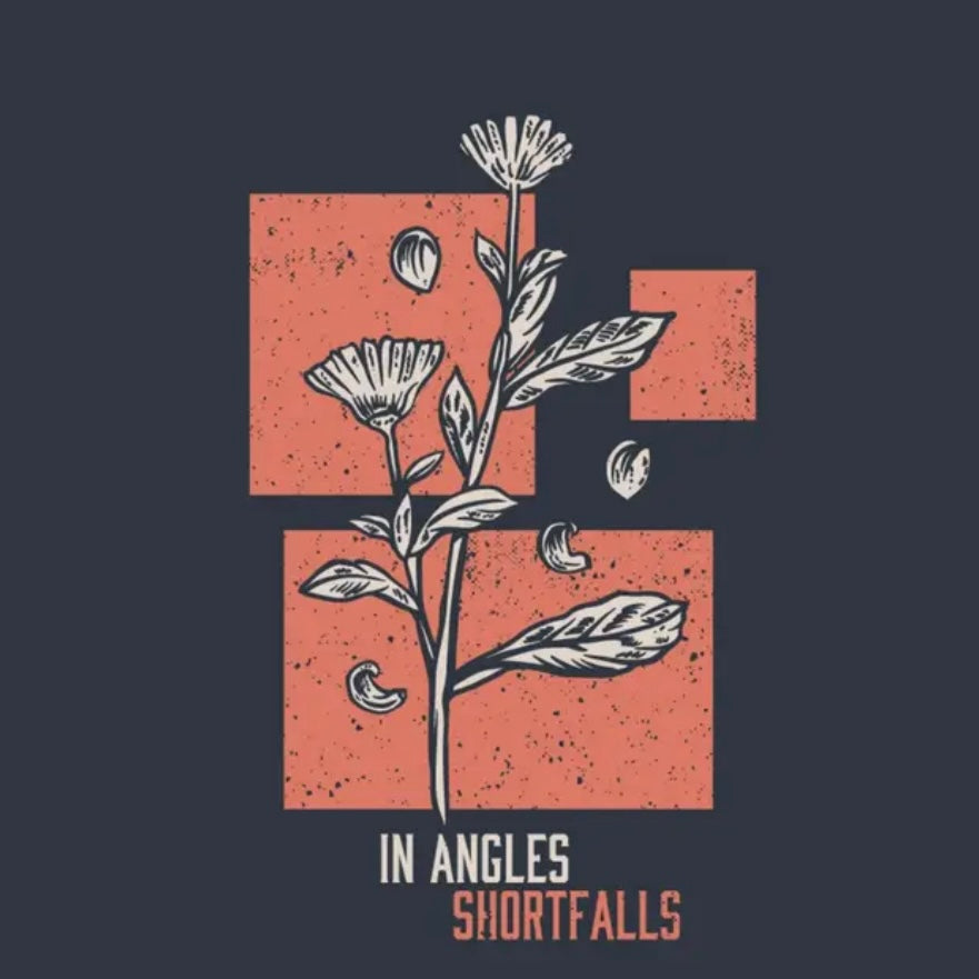 In Angles ‘Shortfalls/Upstairs’ LP