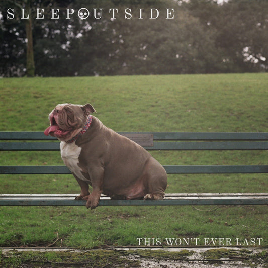 Sleep Outside 'This Won't Ever Last' LP [BLR002]
