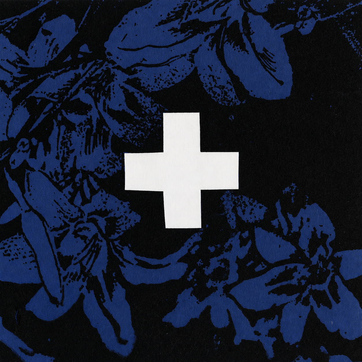 The Hue Of Two - Discography CD