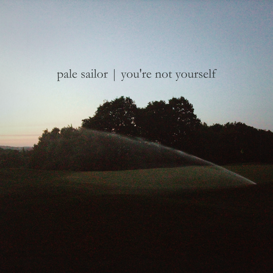 pale sailor - you’re not yourself